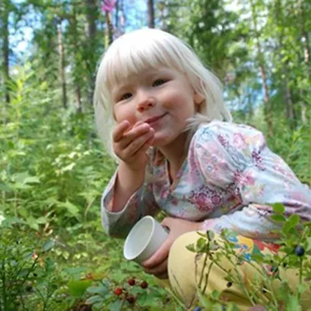 Semesterbostad Kapiaisen Lomamokit *