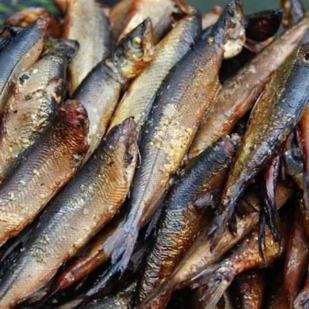 Kapiaisen Lomamokit *
